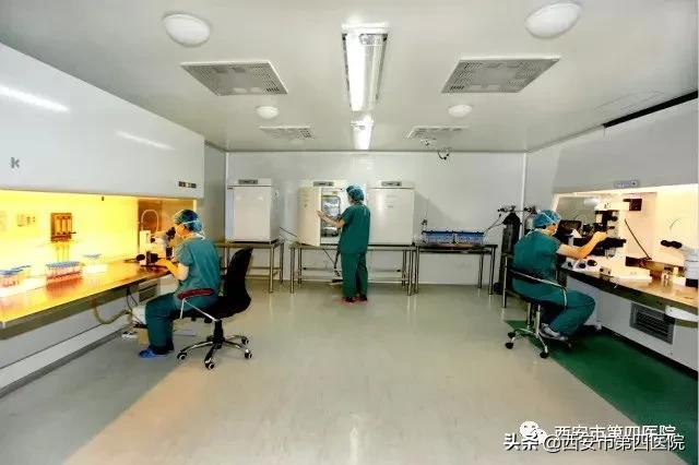 【生育揭秘】胚胎移植后,这7大误区千万不能犯!