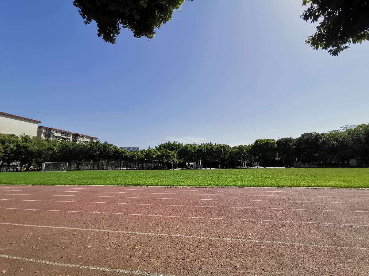 漫漫踢球路：疫情后的草根足球艰难前行，行进了派出所！