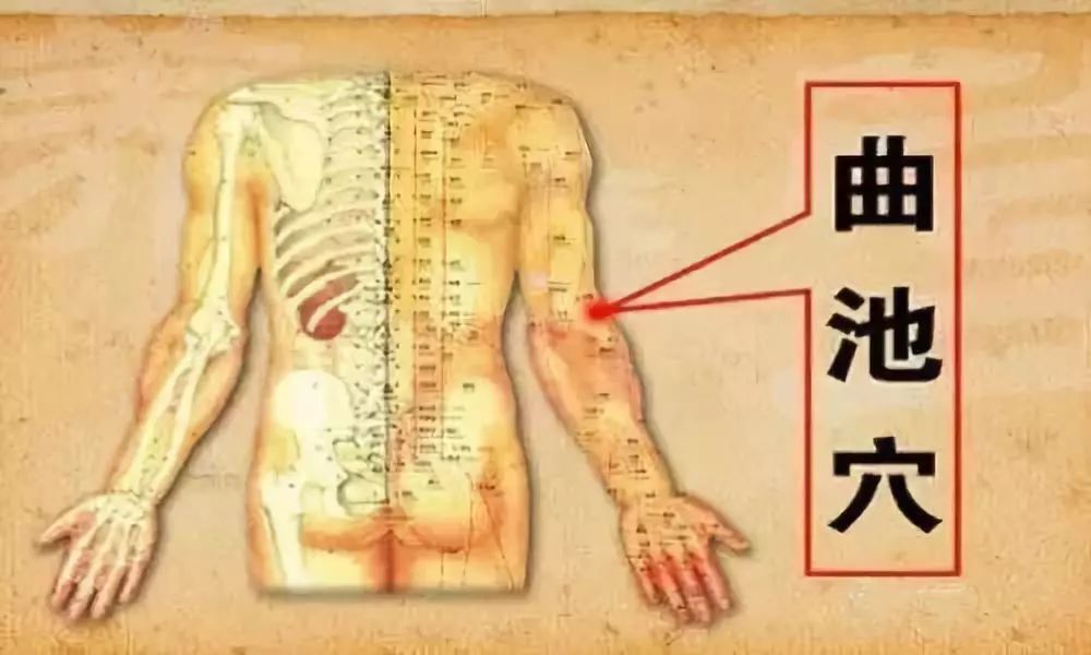 经络通畅百病消全文,经络通气血畅百病消