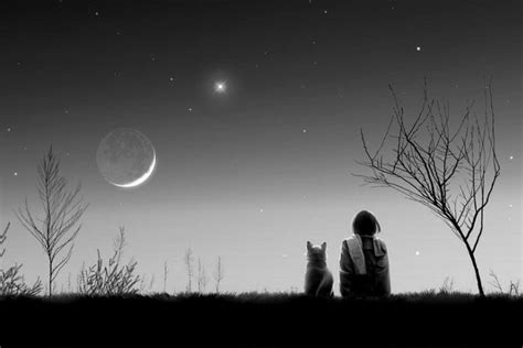 苏童黄雀记第几届获茅盾文学奖,苏童的小说黄雀记到底想表达什么