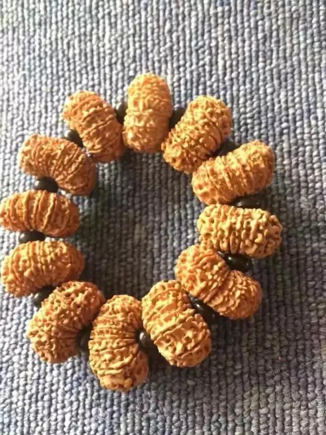 小金刚菩提子纹路图解大全,金刚菩提脖串什么纹路的好