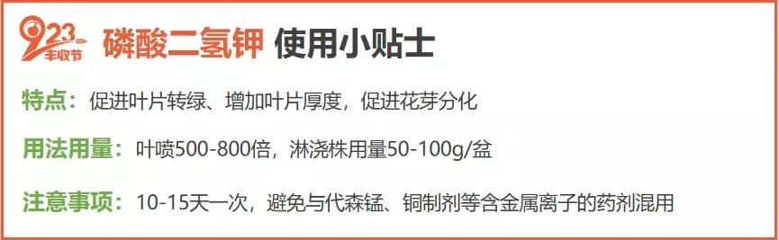 草莓不肥怎么办,草莓不旺长怎么办