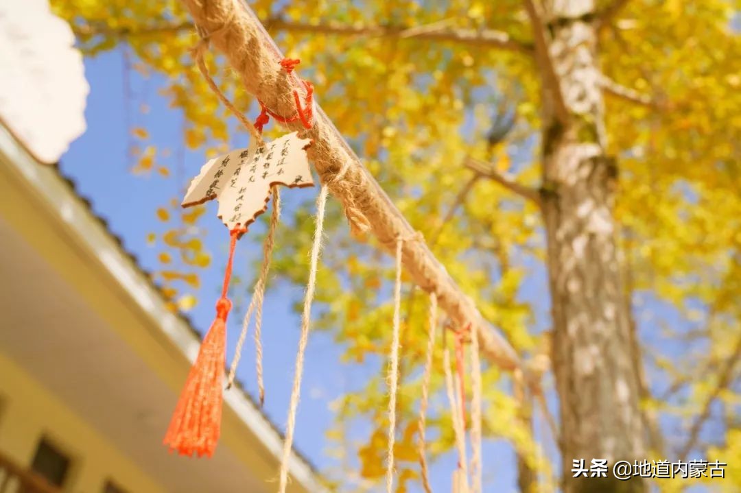 60岁之前要去的十大地方,一生中必去的中国50个最美的地方