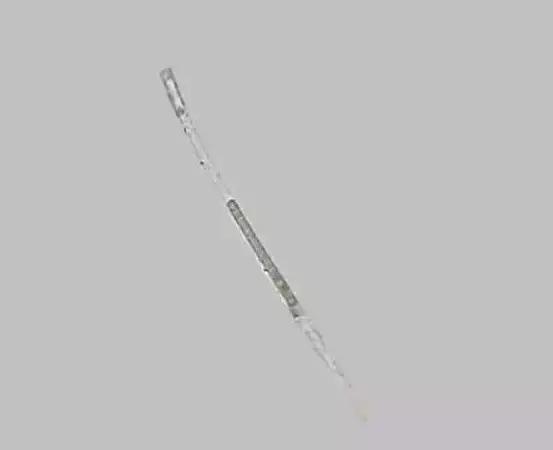 水产养殖业藻类的生命周期,水产养殖常见藻类植物