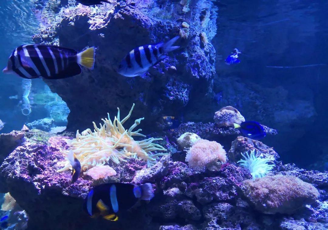 答应我疫情结束后好好锻炼,等疫情过了我们去沈阳