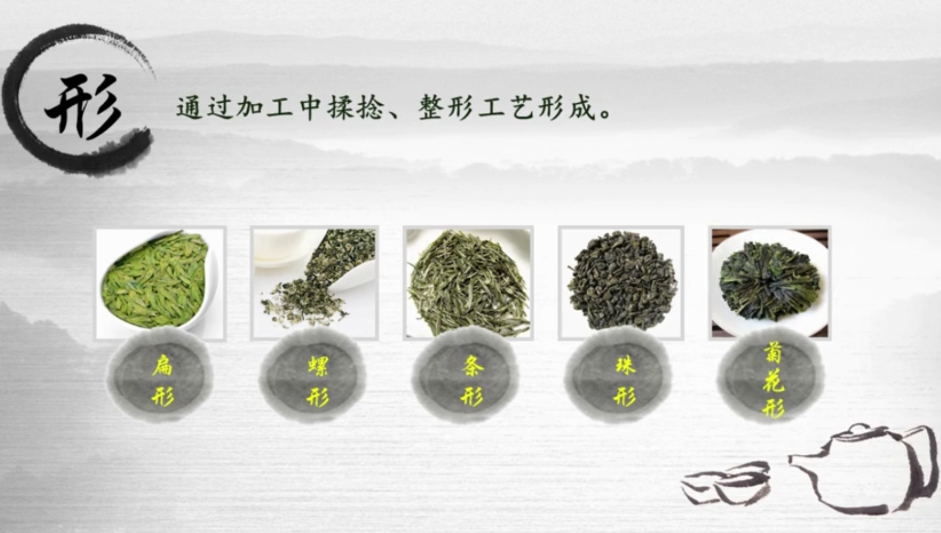 茶叶的外形鉴赏,茶叶的鉴赏