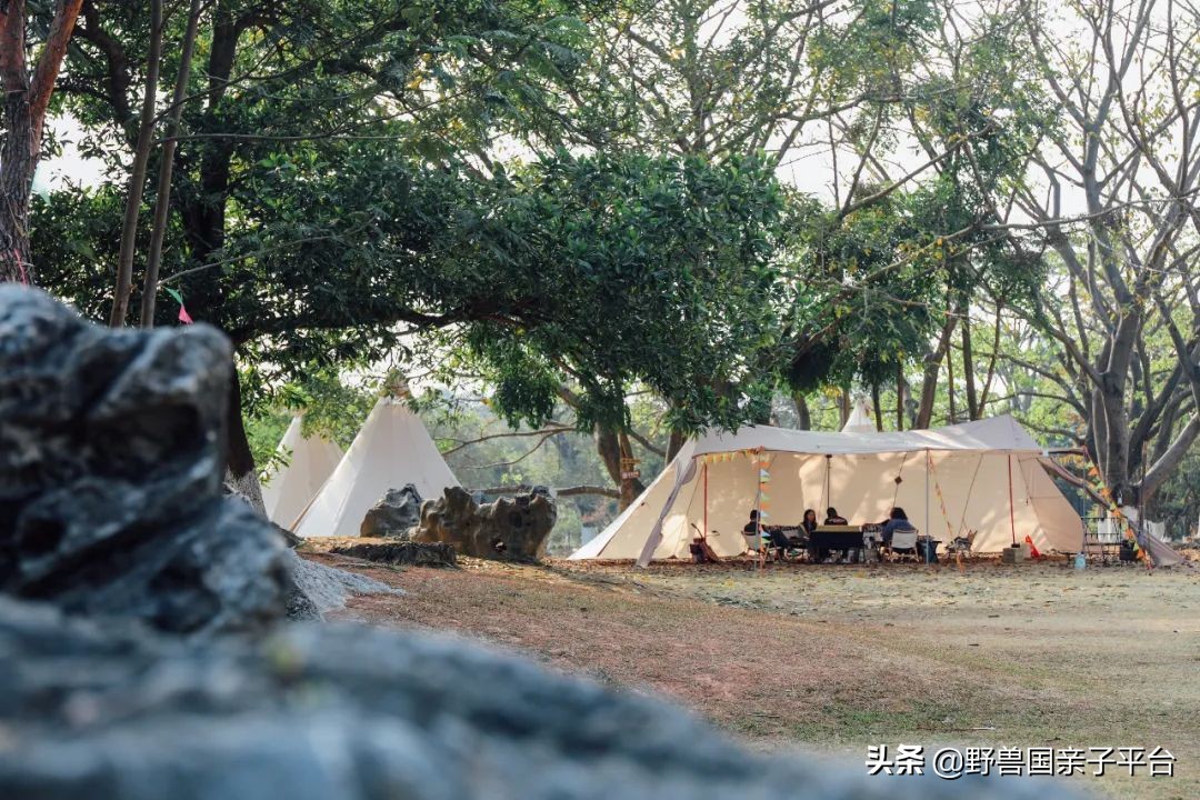 春游在即亲子露营攻略干货奉上,适合亲子的露营装备