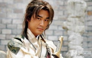 大唐双龙传宇文化及武功,大唐双龙传武功秘籍大全