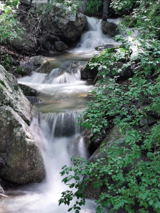 吃在驼梁，体验舌尖上的味道/郝贵云
