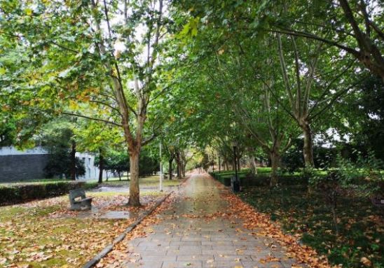 义乌工商职业技术学院创意园,义乌工商职业技术学院难考吗