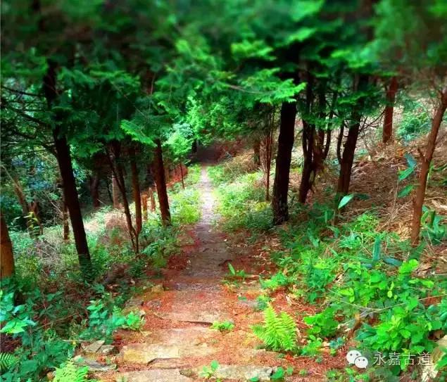 温州四海尖上观日出,初阳如血,美轮美奂,绝无仅有