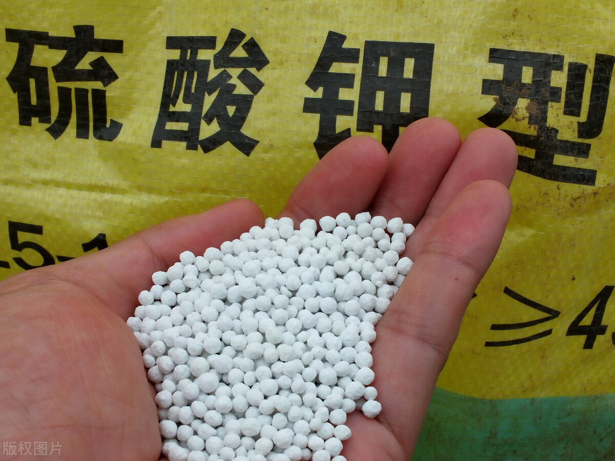 红三角复合肥料怎么辨别真假,天脊复合肥用什么方法辨别真假