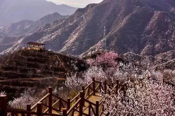 京郊四月美景,京郊四月