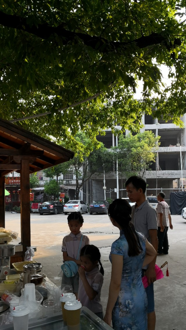 顺德逢简水乡有什么好玩的地方,顺德杏坛逢简水乡一日游攻略