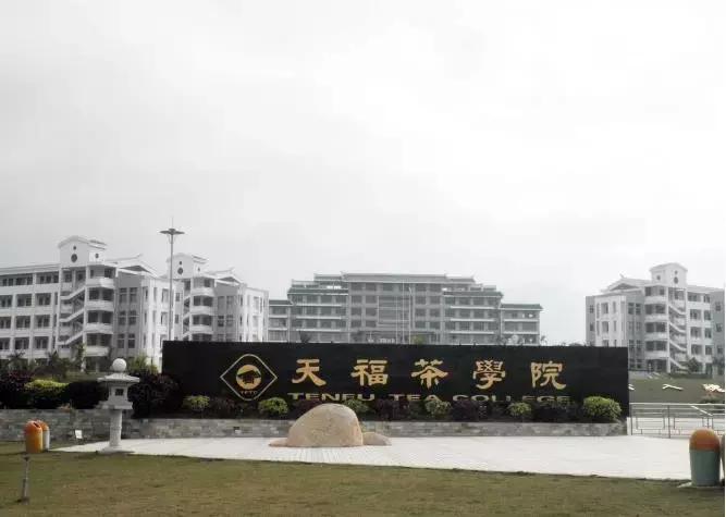 年销售额近5亿的茶叶品牌,天福茶叶经营模式