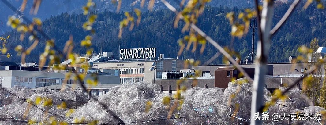 施华洛世奇家族婚纱,施华洛世奇家族千金婚礼