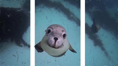 微信公众号文章封面制作软件,微信公众号封面图片设计的小技巧