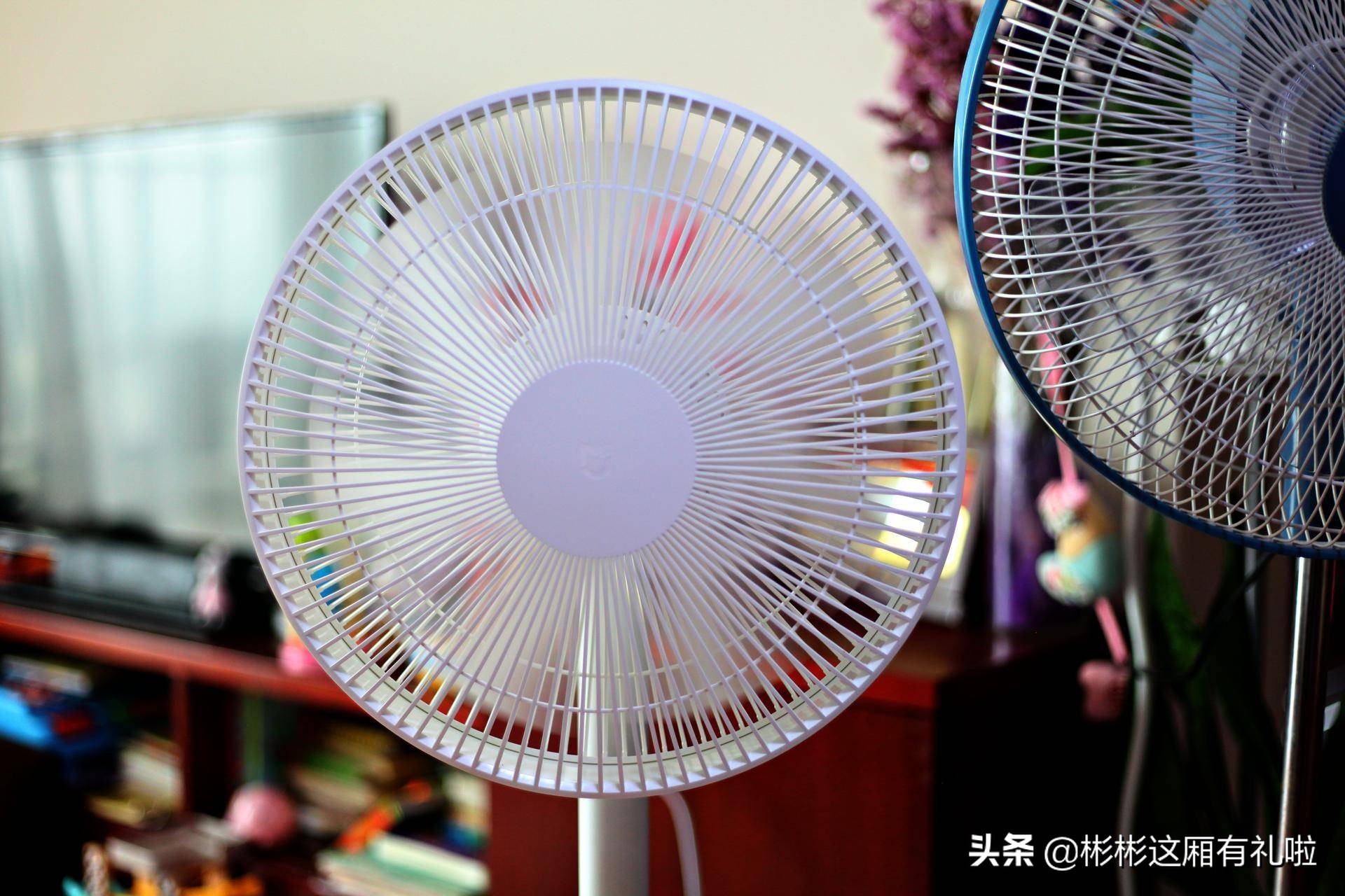 风扇到底要不要选直流变频的,美的的随温变直流变频风扇怎么样