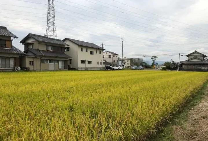 日本只有东京的房子,日本东京农村