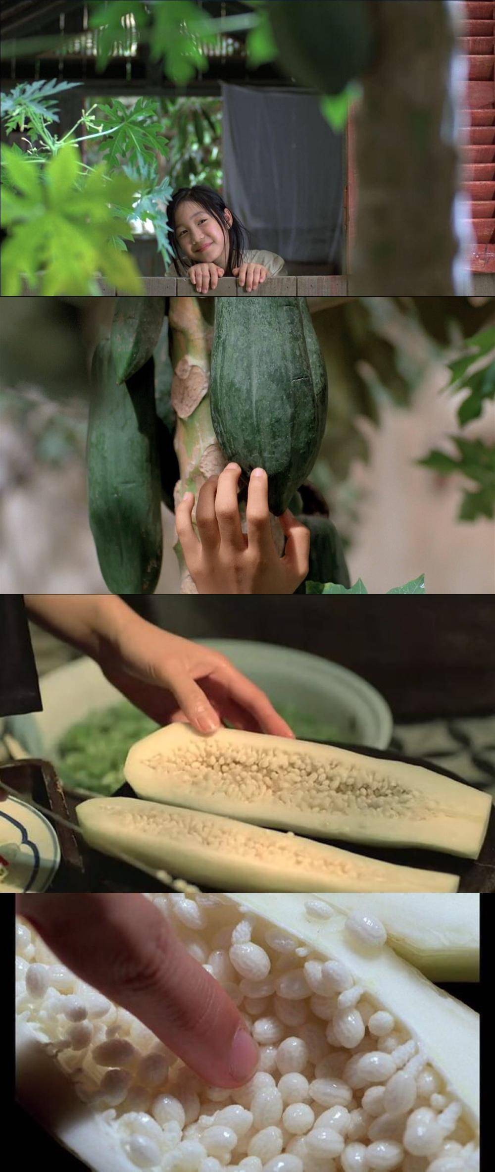 青木瓜之味照片,青木瓜之味南洋风