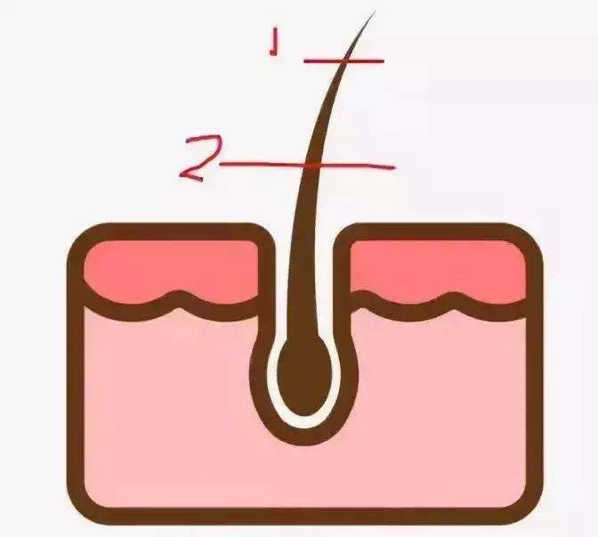 亲测5种脱毛方法，最最最最有效的居然是这一种？