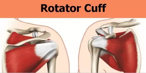 肩部的练习方法和技巧高清,女性肩部肌肉训练8个动作