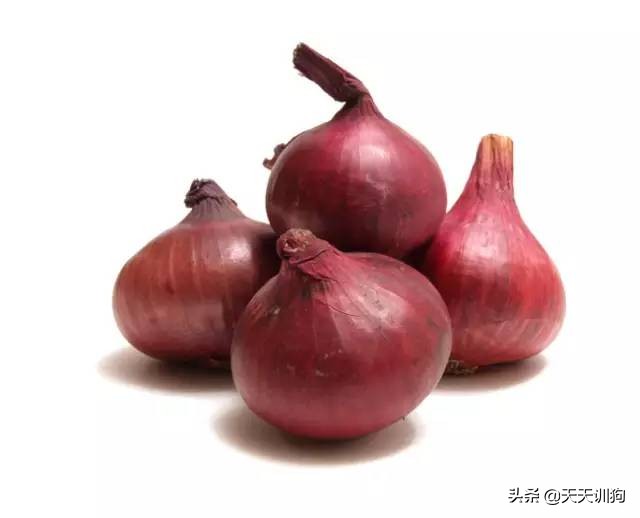 狗狗细小的原因,什么原因会导致狗狗得细小