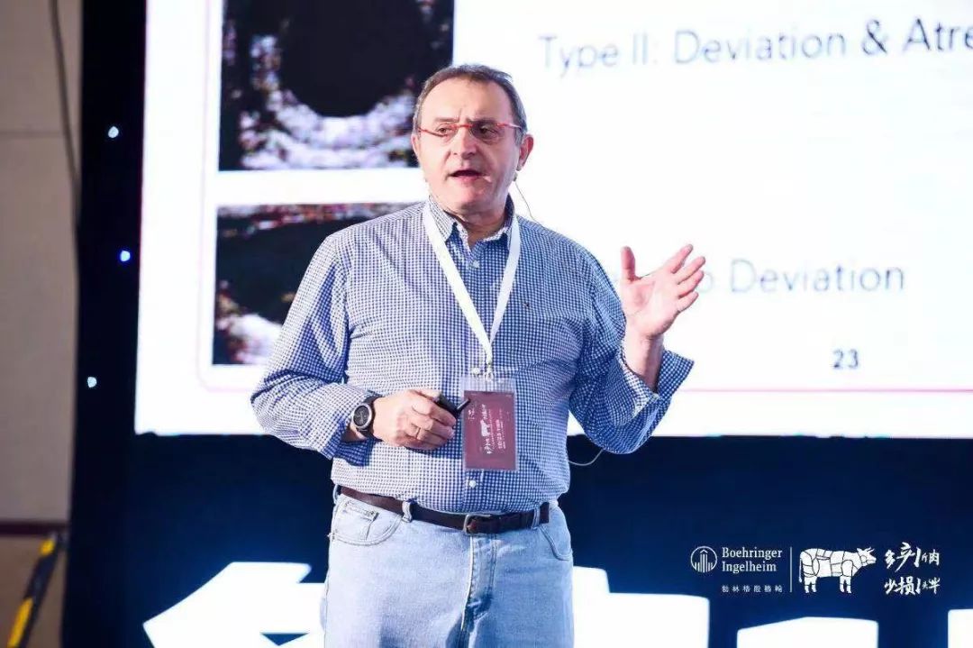 这一次，风口上站的是肉牛