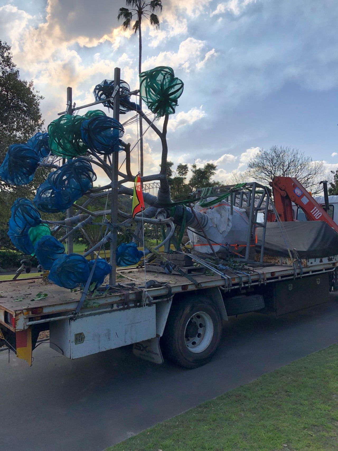 可以长很大的芦荟苗,芦荟如何养成树