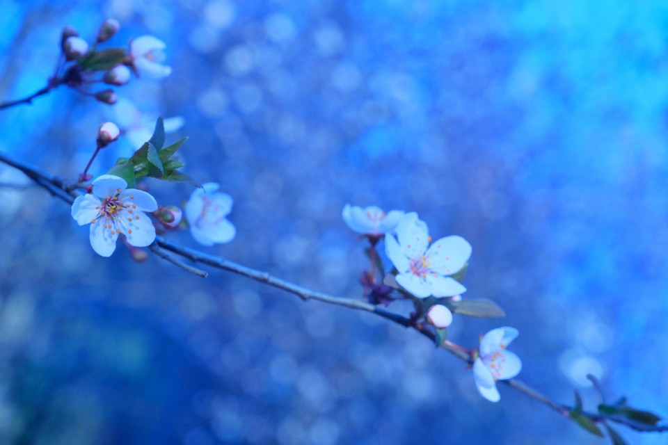 成都中考英语高频词汇200个,中考英语高频词汇汇总推荐