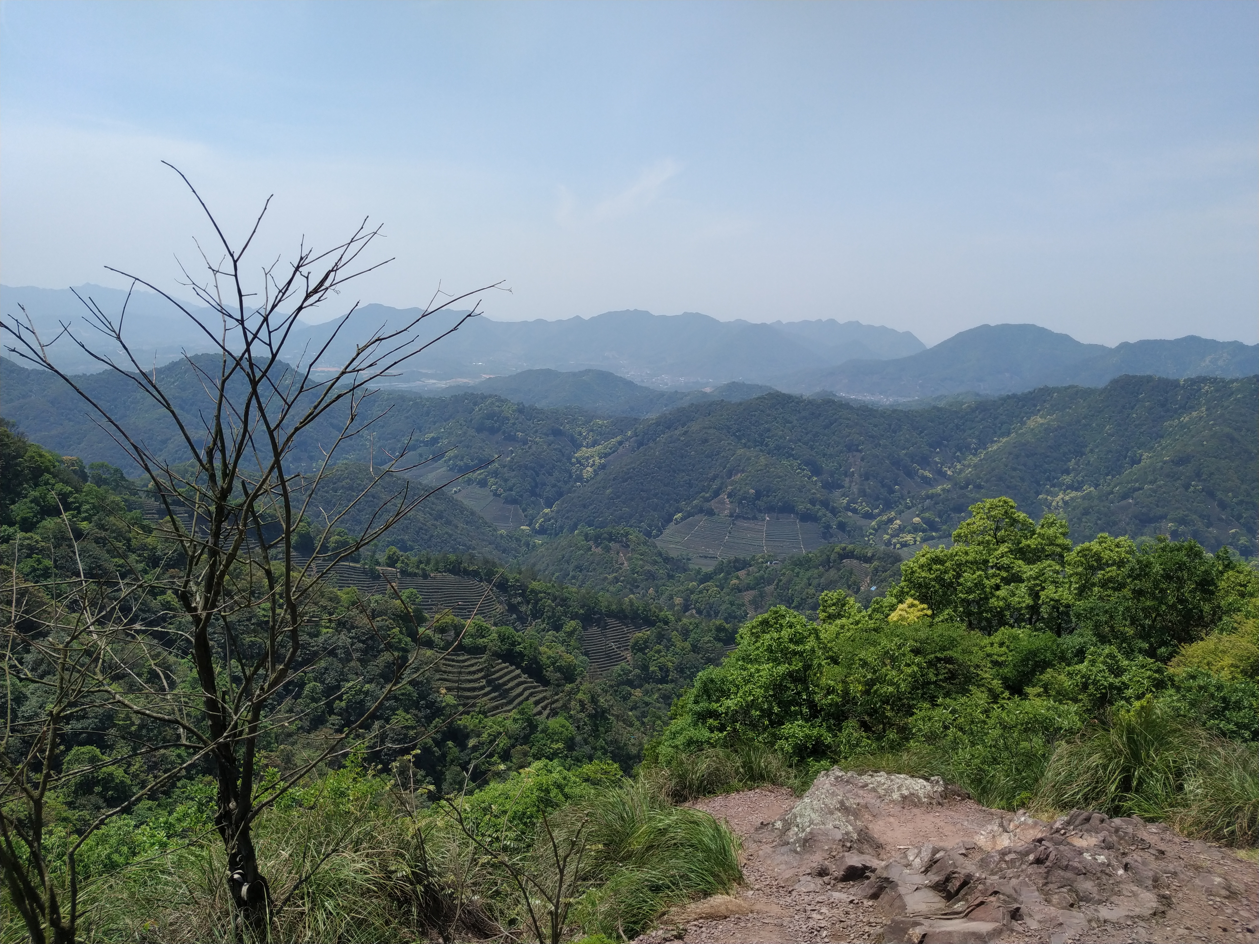 一个旅居者眼中的杭州:似水流年捕捉那四时光阴,美是记得