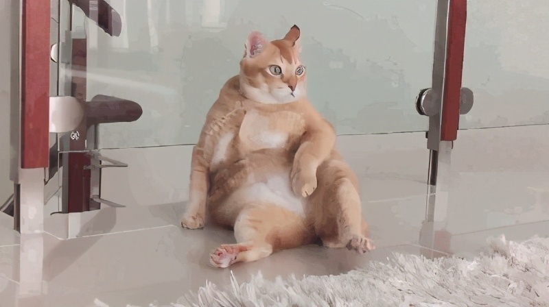 听力怎么听拿满分,高考听力四步精听法