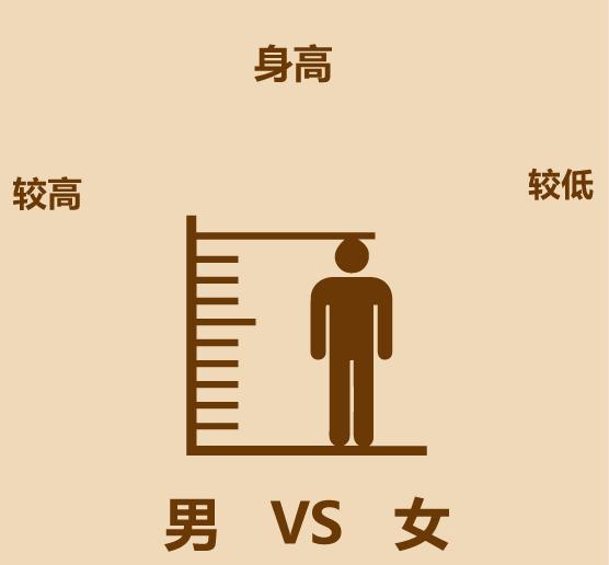 男女区别原版,男女区别视频讲解