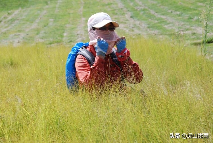 昆明嘉丽泽旅游景区,昆明嘉丽泽湿地露营
