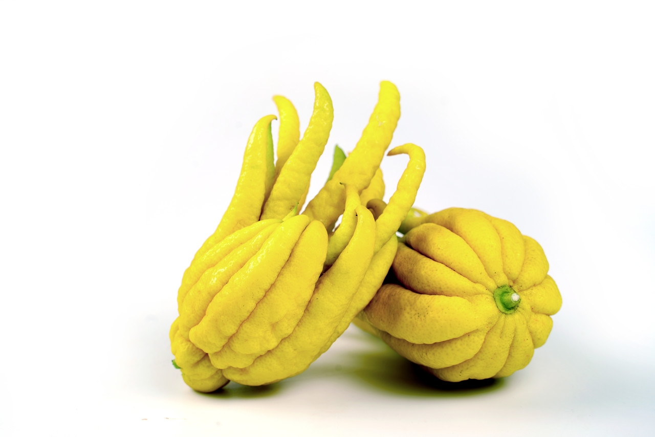 降血糖药新研究,前沿医学最新进展