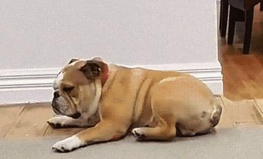 身体健身锻炼过度了怎么解决,健身过度导致腰部疼痛怎么办呢