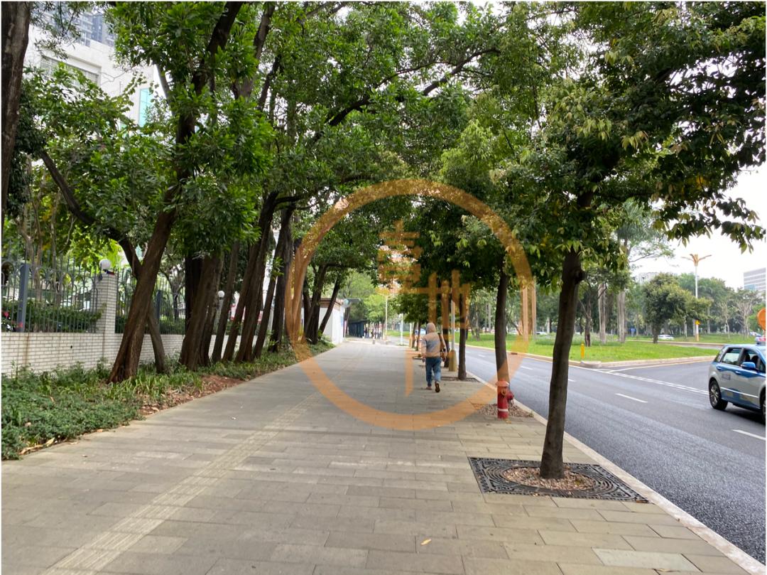 红岭实验+深高南,福田又一豪宅准备跑步进场?