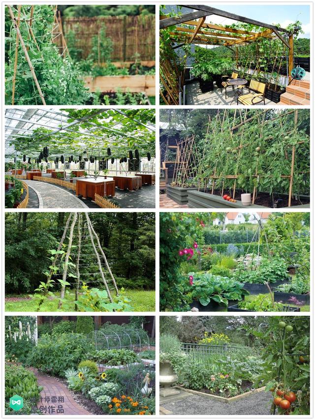 庭院菜园怎么设计最好看？264张案例图+布置详解！简直太实用了