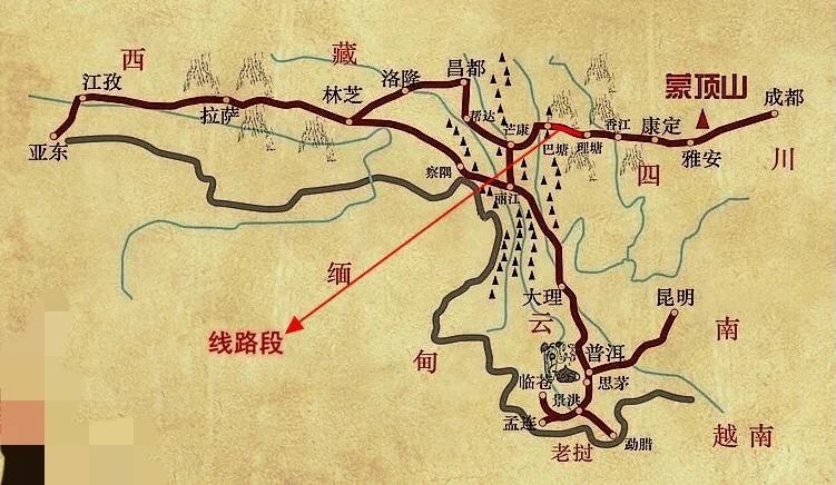 关于云南普洱茶的常识知识,云南普洱茶与其他普洱茶的区别