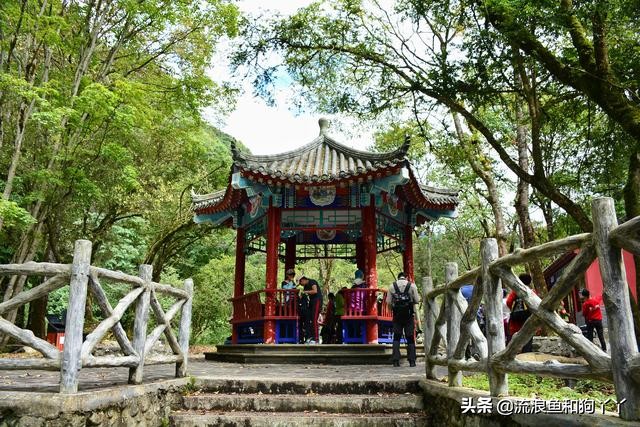 二郎山喇叭河看鹿,二郎山喇叭河看日出攻略