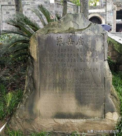 林森完整版免费观看,林森完整视频