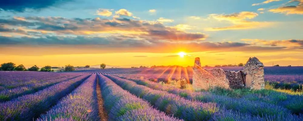 手干燥粗糙手纹深用什么护肤产品,可以改善手纹粗糙的护手霜