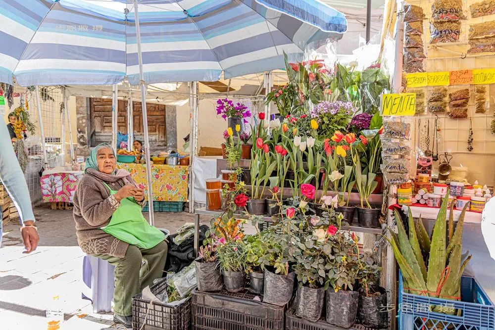 在闲逛中爱上这座城----瓜纳华托