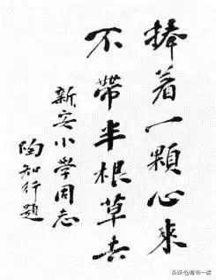 陶行知教育理念感悟900字,陶行知的教育思想50字