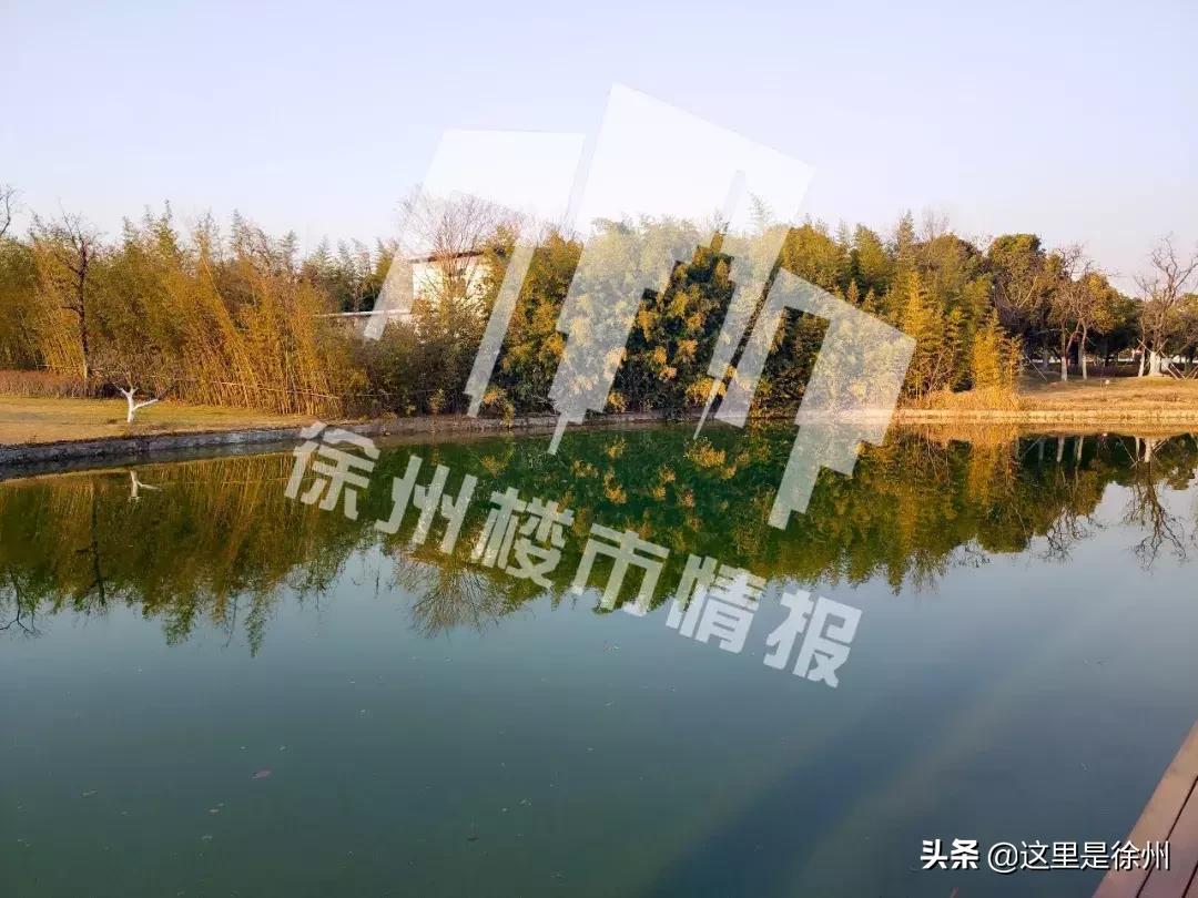 徐州云龙万达广场最新房价图,徐州万达广场哪个小区房最好