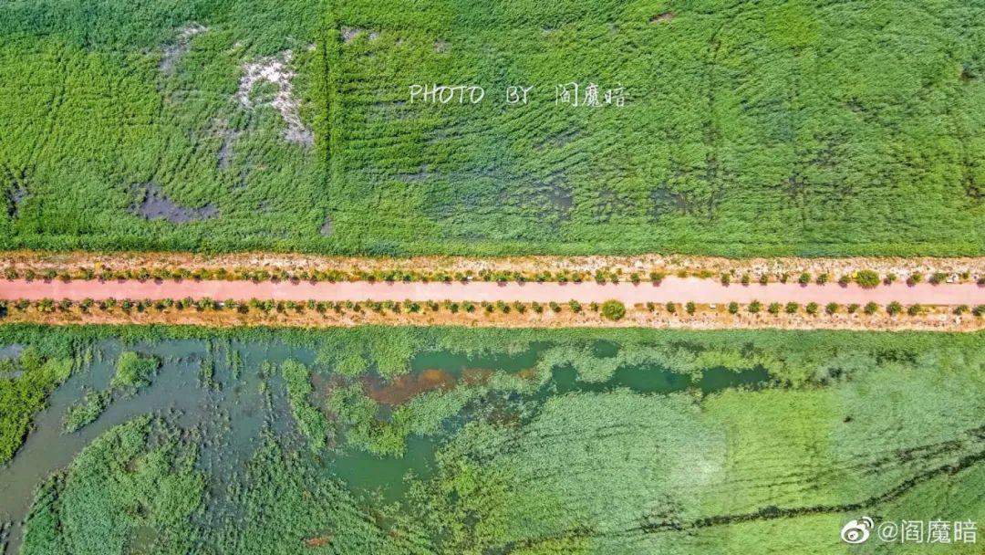 天津对称建筑物,天津各区分布图最新