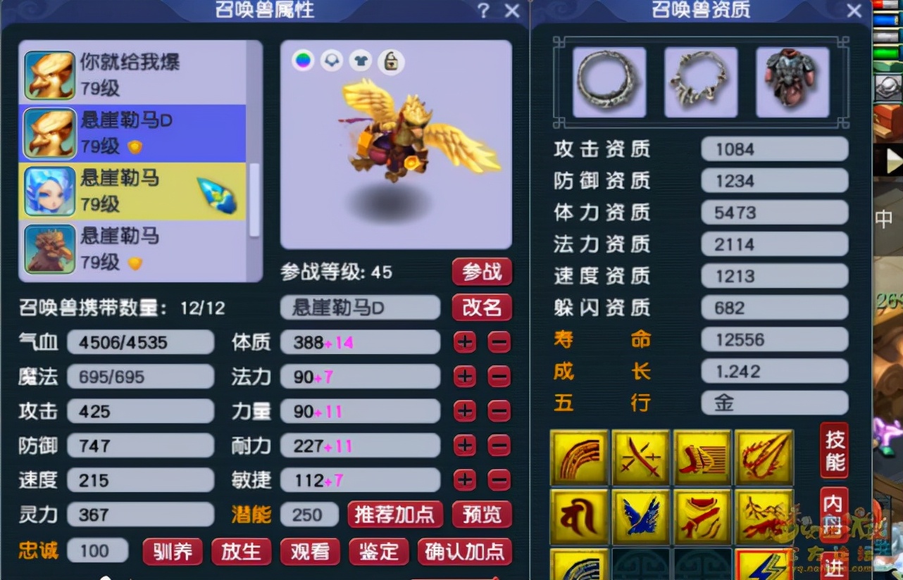 梦幻西游69普陀配号攻略大全,梦幻西游普陀山69带什么法宝