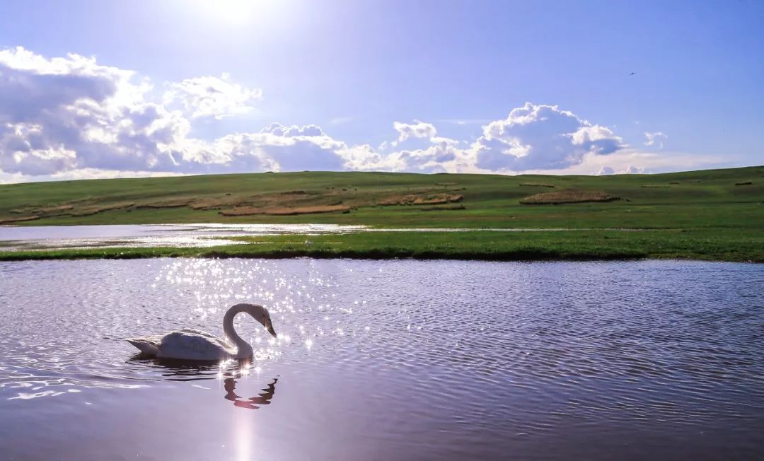 涓嶈兘鍘诲鍦扮殑鐞嗙敱,浜旂浜轰笉鑳藉幓鐤嗗唴鏃呮父