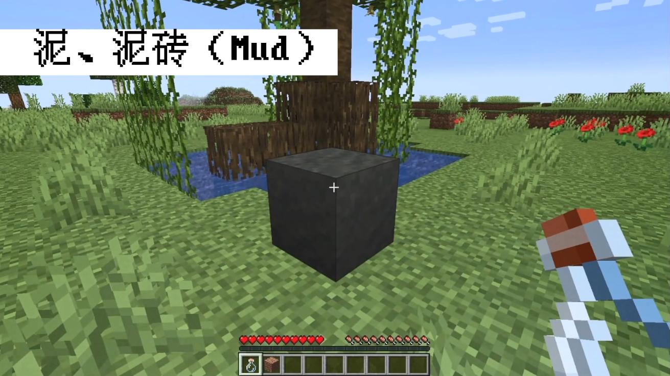 我的世界荒野更新宣传图,我的世界青蛙更新