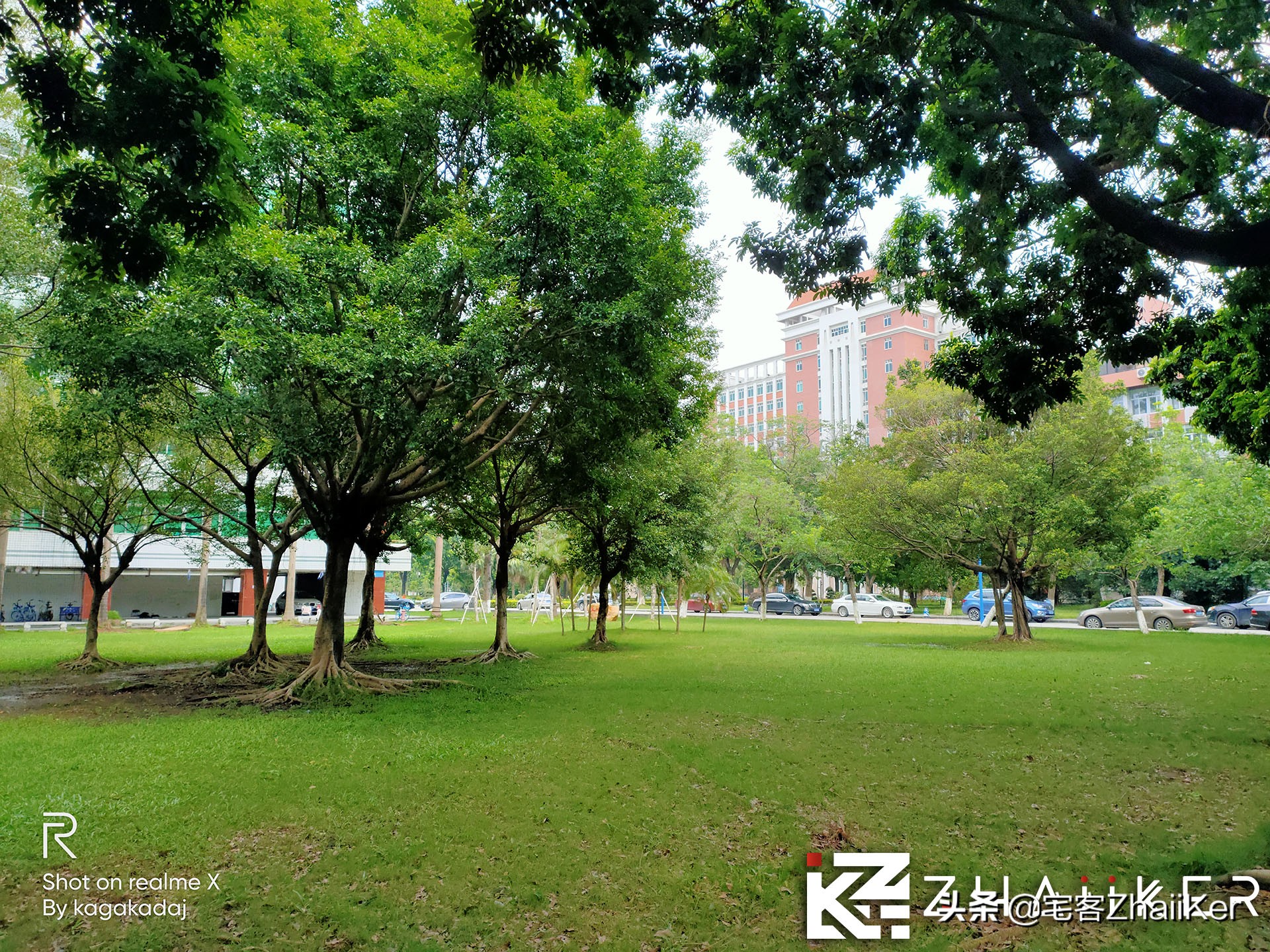 买oppox还是reno系列,买opporeno还是网上买